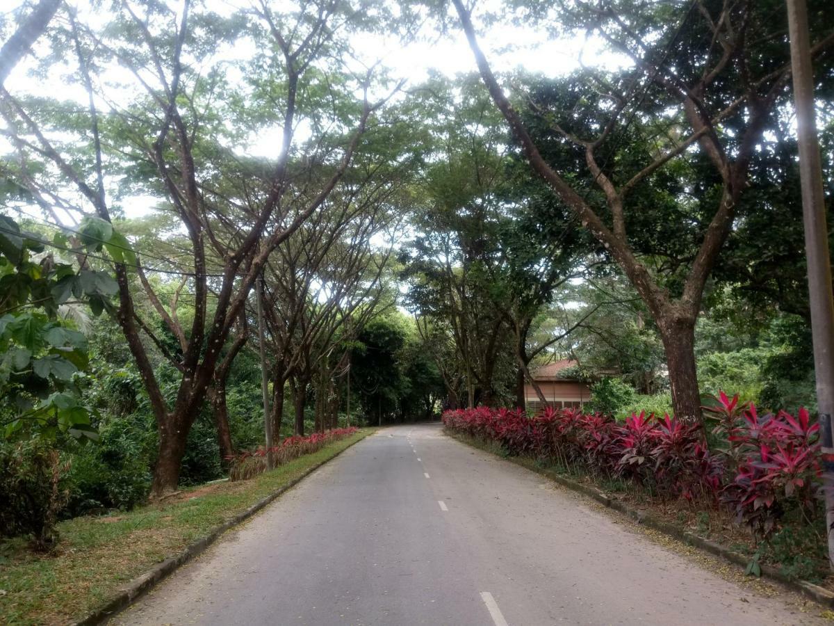 Janaview Taiping Hotel 외부 사진