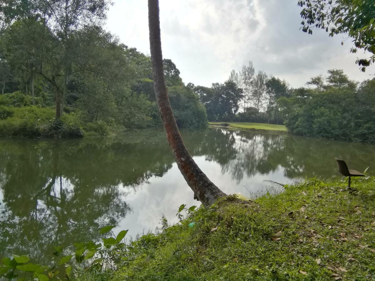 Janaview Taiping Hotel 외부 사진